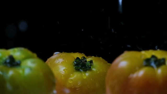 Splashing water onto three big yellow, red, and green beefsteak tomatoes with black background (close-up shot)
