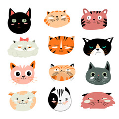 Funny cats muzzles, kitty and kitten feline animal