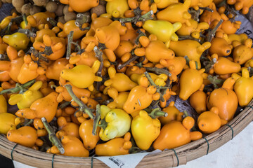 Fresh yellow nipple fruit, titty fruit or cow's udder in bamboo basket