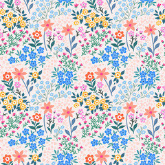 Fototapeta na wymiar Seamless pattern. Vector flower design with cute wildflowers. Romantic abstract floral pattern on pale pink background. Illustrations of spring nature with red, blue and pink flowers.