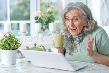 Portrait of beautiful senior woman sitting at table with laptop