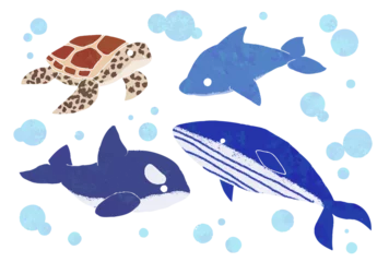 Cercles muraux Baleine sea animals