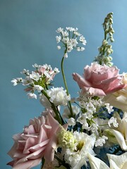 pink flowers in a garden