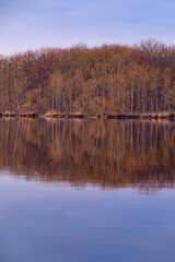 朝の湖の湖畔の森の木々。