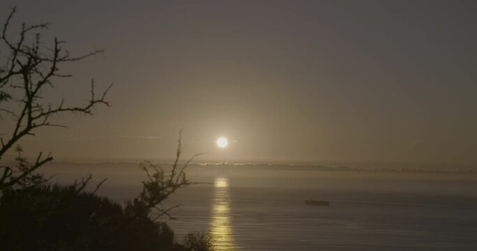 Timelapse of a wide panoramic shot in Cape Town South Africa over the sea of the sunset with boats passing by on a sunny day and moving clouds and some plants in the foreground LOG