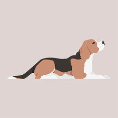 Vector flat illustration of a lying Beagle dog