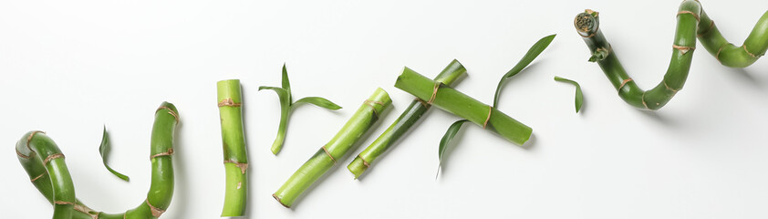 Fototapeta premium Concept of tropical and summer plant - bamboo