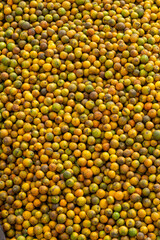Fresh oranges, Elevated view of a pile of healthy oranges - stock photo