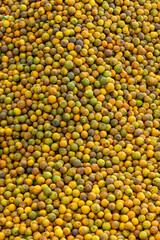 Fresh oranges, Elevated view of a pile of healthy oranges - stock photo