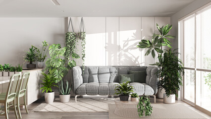 Urban jungle, kitchen and living room in white and bleached tones. Dining table, parquet floor and houseplants. Home garden interior design. Love for plants concept