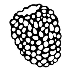 Raspberries. Sweet fruit. Sketch. Ripe berry with seeds. Vector illustration. Doodle style. Outline on isolated background. Coloring book for children. Idea for web design, menu.