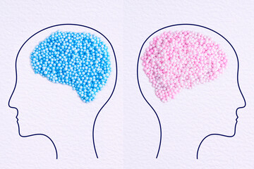 Heads of two people, one womens pink brain and one mans blue brain, gender brain.