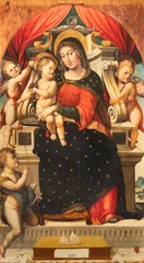 Fotobehang NAPLES, ITALY - APRIL 19, 2023: The painting of Madonna among the angels with the St. John the Baptist in the church Chiesa di San Domenco Maggoire by Agostino Tesauro (1501 - 1546). © Renáta Sedmáková