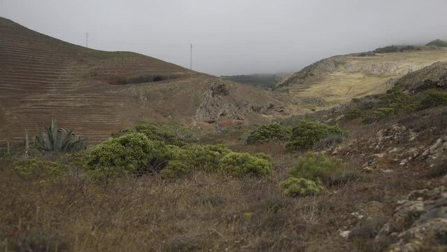 Paisaje Teno Alto