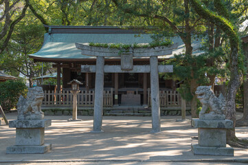 Fototapeta premium 日本三大八幡・筥崎宮の西末社
