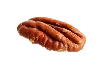 Peeled pecan nut isolated on a white background. Single pecan seed half