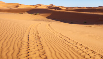Adventure, excursion, exploration in the sahara desert- offroad safari in sand desert, tracks on the sand