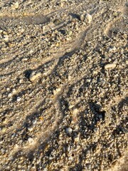 sand and shells on the beach