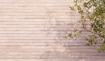 Fototapeta premium wood grain background And trees with shadows that hit Old wood grain There are traces of decay 3D illustration