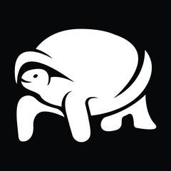 Illustration drawing style of turtle
