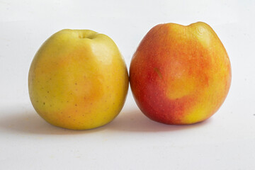 Pommes Golden  et Jonagold sur fond blanc