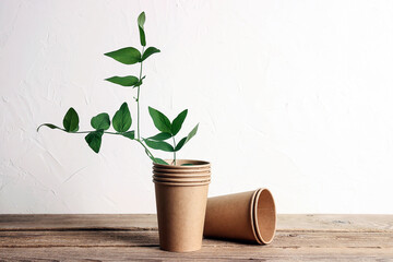 Eco-friendly coffee to go cups with green leaves on a wooden table against a white wall.