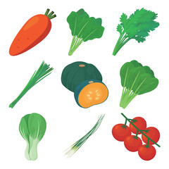 Vector illustration of food containing beta carotene.