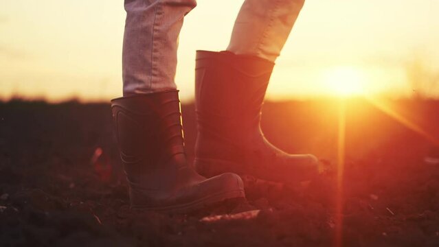 agriculture. farmer legs in rubber a boots close-up walks on the soil of arable land at sunset. agriculture business concept. close-up farmer legs in lifestyle boots walk going to work