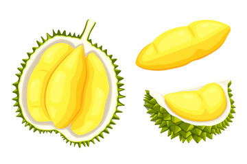 durian isolated on white background