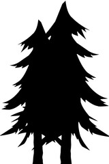 silhouette of a pine tree