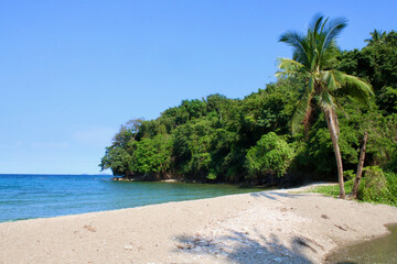 Fototapeta na wymiar Tropical landscape. A lonely palm tree on a sandy shore by the sea against a blue sky.