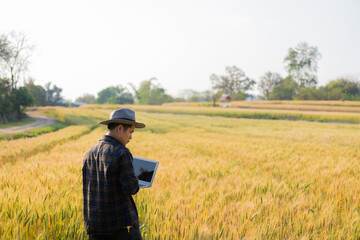 Fototapeta na wymiar Asian man smart farmer using modern digital technology by laptop computer in barley field for industrial development.