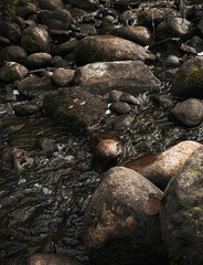 Rocks and stream in the forest