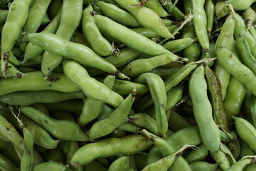 Organic fava bean pods on display at market

