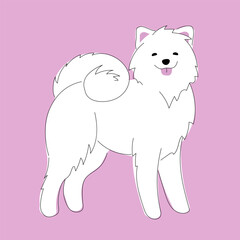 vector illustration decorative picture with drawn large fluffy Samoyed dog, postcard with a beautiful dog on pink background