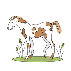 Vector color children's illustration with an outline of a cute horse with brown spots