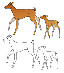 vector children's illustration wild animals, coloring book page  coloring and black and white version of a female mother deer and a baby deer 