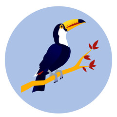 vector color flat illustration with a tropical exotic toucan bird with a large beak in a blue circle