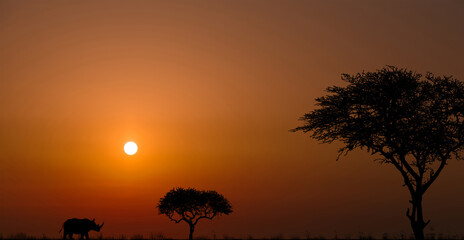 Silhouettes of african wild animals at sunset. Evening in African savanna.