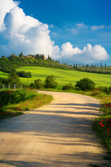 Beautiful Italian summer rural landscape; Countryside Panorama of summer green field with dirt road and sunny cloudy sky.
