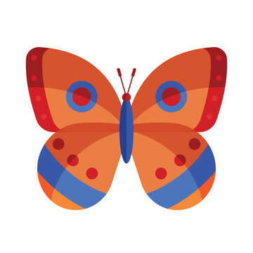 Butterfly vector, Butterfly illustration, Butterfly icon, Butterfly icon vector, Insect vector illustration,