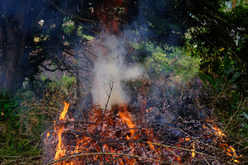 Wildfire, bushfire, wildland, rural fire unplanned, uncontrolled and unpredictable fire in area...