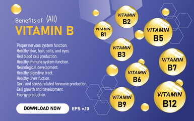 Vitamin A, B1, B2, B3, B5, B6, B7, B9, B12, K, C, D, E vector illustration and their essential benefits and supports for health. can be used for print, poster, leaflets, children books and sticker.