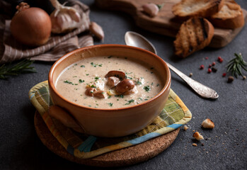 Porcini mushrooms creamy soup with grilled bread and parsley