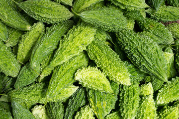 Top view group of bitter gourd background.jpg