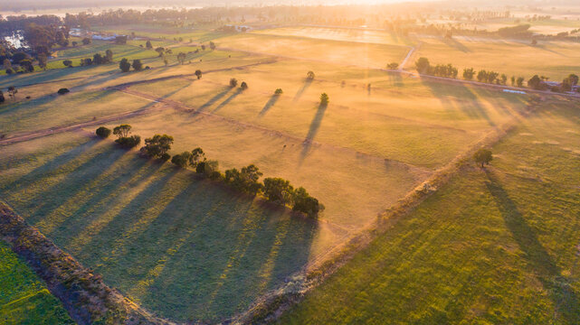 Aerial view of golden sunshine casting long shadows over farmland