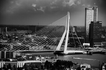 Erasmus bridge over the river thames