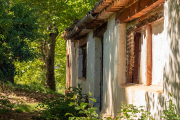 features an abandoned house in nature, with several broken windows and a damaged shutter. The peeling white paint and surrounding overgrowth convey a sense of desolation and neglect, highlighting the 