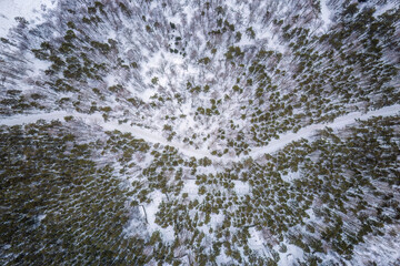 Aerial view of the road in the winter forest with high pine or spruce trees covered by snow. Driving in winter.