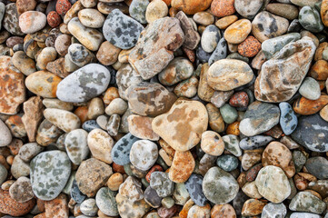 Beach Rock Textures at Acadia National Park